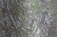 Holton Cum Beckering fibreglass roof work