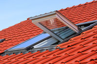 Holton Cum Beckering roof window